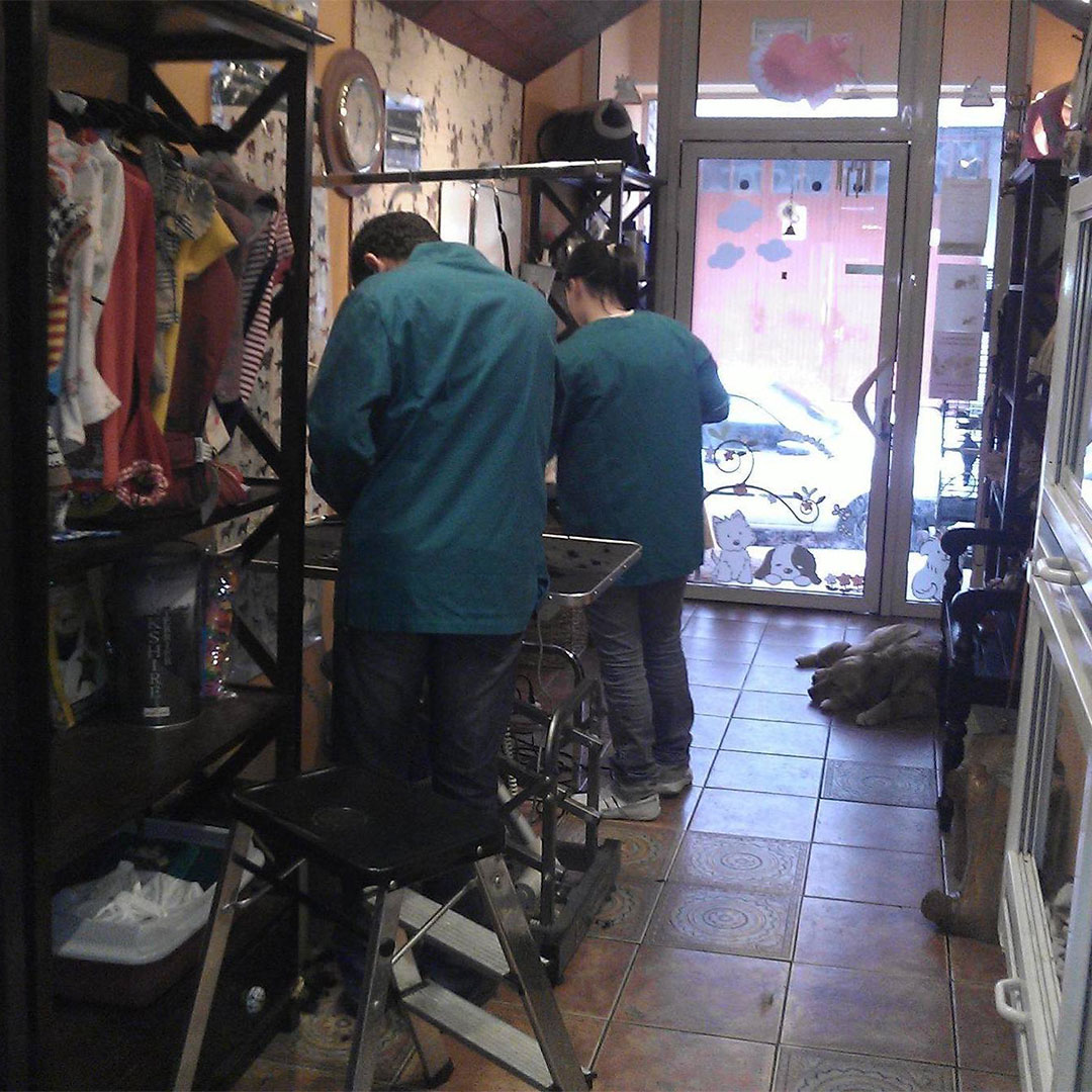 Interior de peluquería canina con personal trabajando y un perro acostado cerca de la puerta.