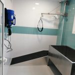 Bañera para perros grandes en Pets & Us con rampa de acceso, ideal para facilitar la entrada de perros de gran tamaño.