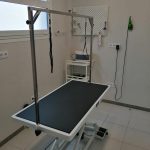 Zona de peluquería canina con una plataforma profesional para el corte y secado de perros de todas las razas y tamaños.
